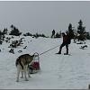 Dinooq Polen 2011 32